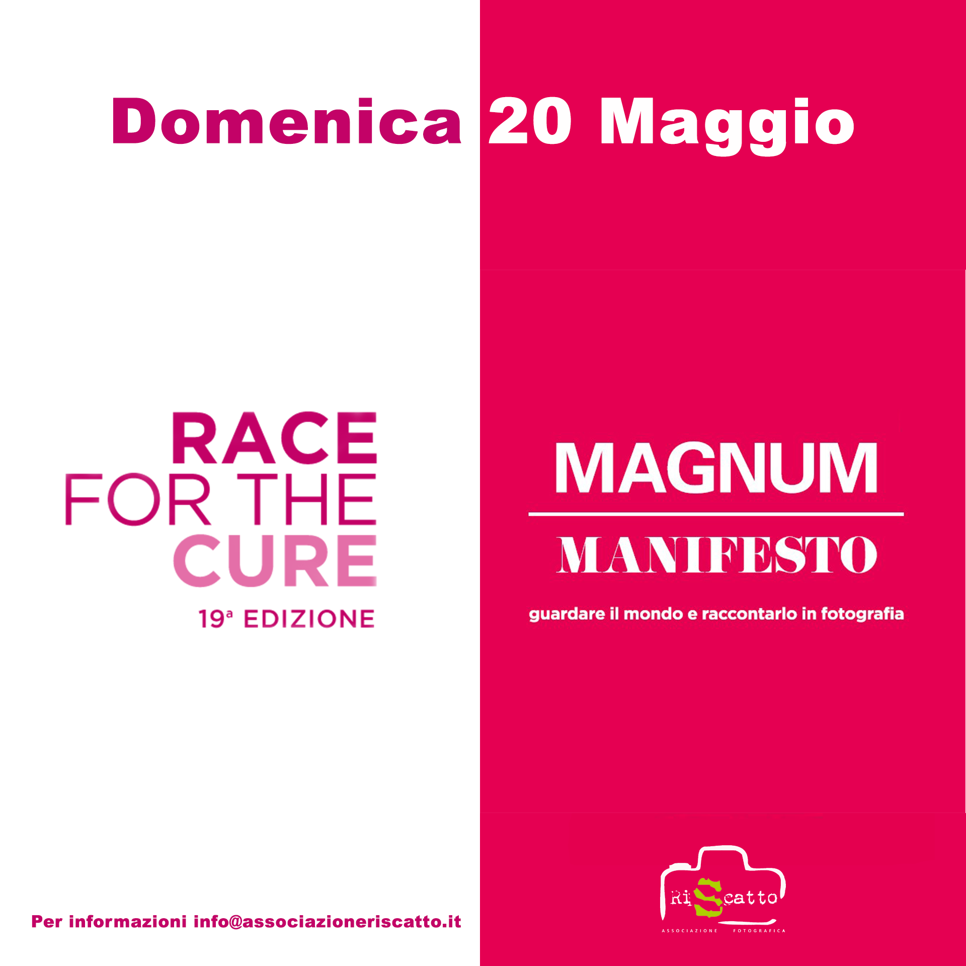 race for the cure magnum manifesto